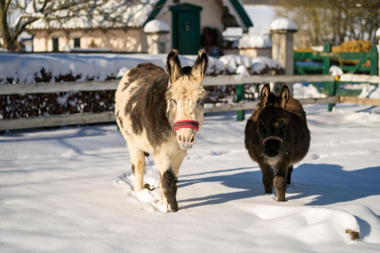 Ferienhof Homann Sauerland บรีโลน ภายนอก รูปภาพ
