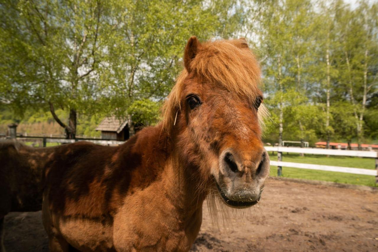 Ferienhof Homann Sauerland บรีโลน ภายนอก รูปภาพ