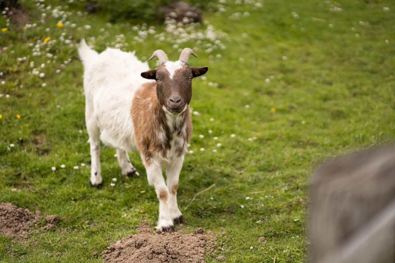 Ferienhof Homann Sauerland บรีโลน ภายนอก รูปภาพ