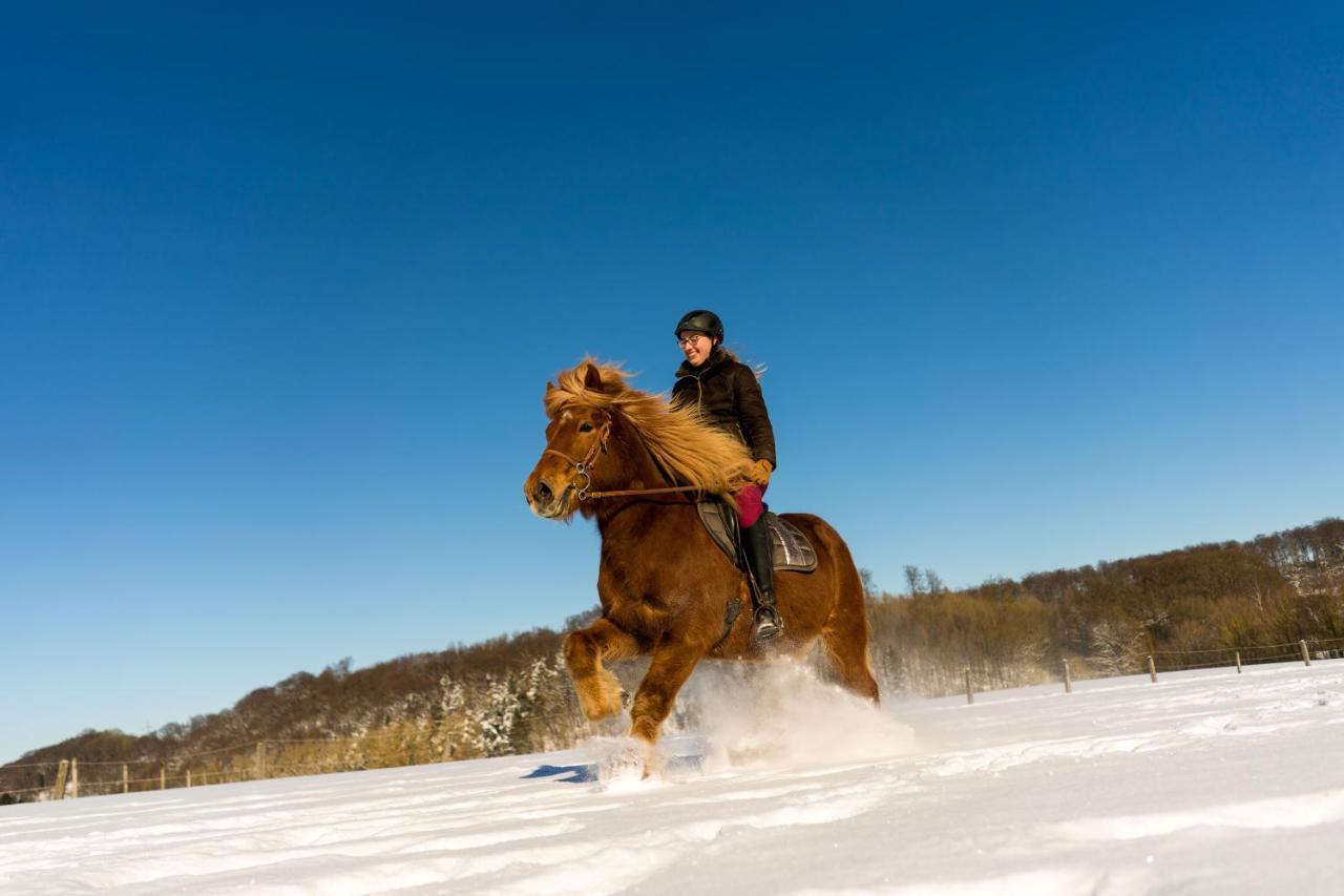 Ferienhof Homann Sauerland บรีโลน ภายนอก รูปภาพ