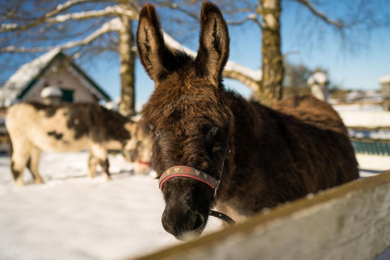 Ferienhof Homann Sauerland บรีโลน ภายนอก รูปภาพ